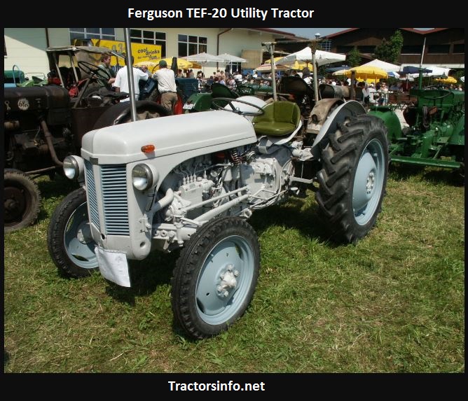 download Massey Ferguson TE20 tractor workshop manual