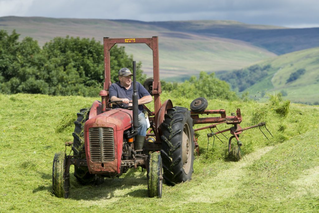 download Massey Ferguson tractor workshop manual